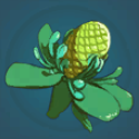 Stonedrake Fruit